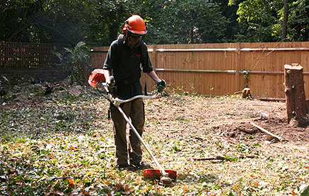 Clearance, Planting & Maintenance