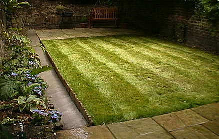 Lawns & Artificial Grass
